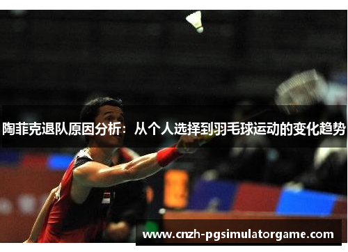 陶菲克退队原因分析：从个人选择到羽毛球运动的变化趋势